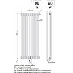 Стальной трубчатый радиатор Arbonia 2180 10 секций с нижним подключением по центру (N 96) цвет Anthrazit metallic  