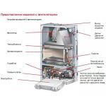 Настенный газовый котел Protherm (Протерм) Гепард  23 MTV