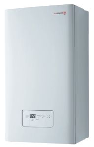 Настенный газовый котел Protherm (Протерм) Гепард  23 MTV