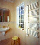 Полотенцесушитель Zehnder Yucca Star (Зендер Юкка Стар) для ГВС 500х700 цвет белый